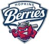 Hopkins Berries logo